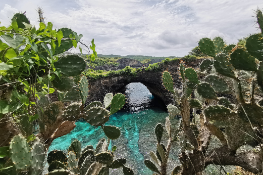 BALI - NUSA PENIDA
